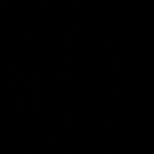 Meet your Posher, Allaura